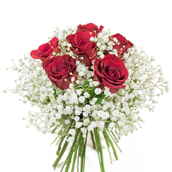 In a radiant display against a pure white background, this bouquet features six luxurious crimson red roses, each one in lush, velvety bloom. The roses unfurl with a richness of hue and a tenderness of petal, blending romance and elegance in a statement as bold as a sunset over Archway Bridge. Among them, ethereal clouds of white baby's breath-delicate gypsophila-envelop the arrangement in a softness that seems to float, their minute blossoms scattering light like tiny pearls along Holloway Road's shopfronts. The hand-tied stems, fresh and vividly green, are arranged with care and a florist's practiced eye, gathered tightly at the base for a finish both natural and refined. This bouquet, as crafted by local florists with knowledge of the area's traditions and tastes, radiates purity and heartfelt celebration-suitable for everything from Valentine's declarations to marking a loved one's milestone. The blend of passionate reds and gentle whites offers not only visual delight but also a fragrance that speaks to intimate gatherings or thoughtful surprises, echoing the gentle rhythms of Archway's vibrant everyday life.